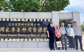 爱游戏游戏平台-袠薪褑械褋裈hd